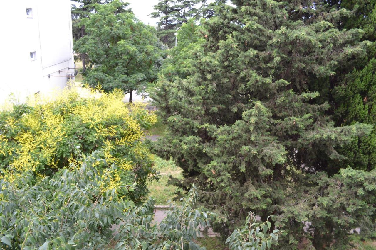 Good Vibes Apartment Zadar Eksteriør billede